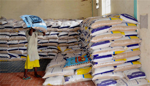 rice_business_in_nigeria (7)