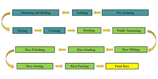 10t_small_parboiled_rice_plant_price