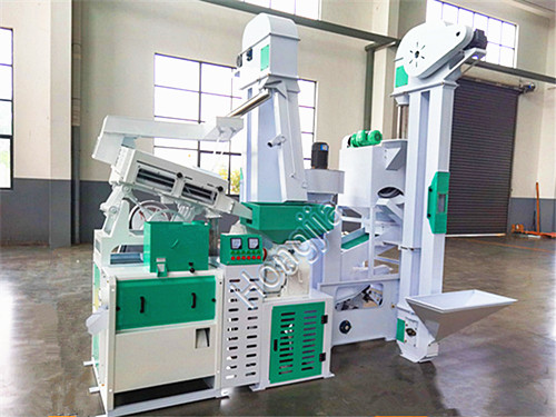 20t_combined_rice_mill_supplier