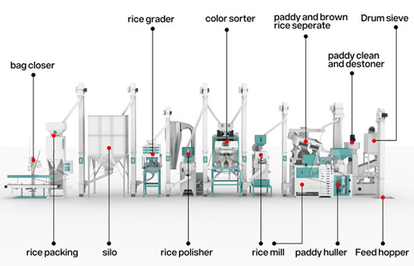 20ton_rice_processing_line_structure