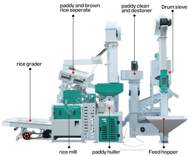 20ton_rice_processing_line_structure