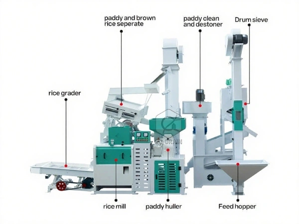 20ton_rice_processing_line_structure