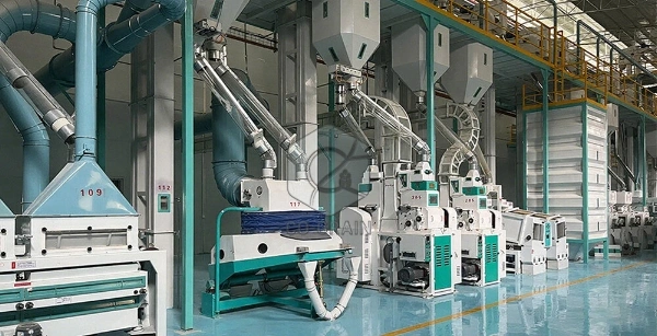 300t_rice_mill_plants (1)