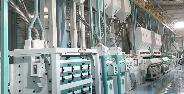 300t_rice_mill_plants (5)