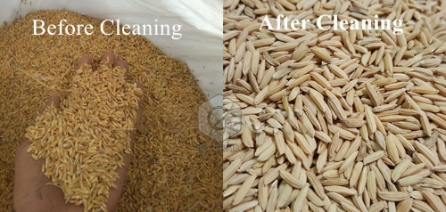paddy_cleaning_machines_cost