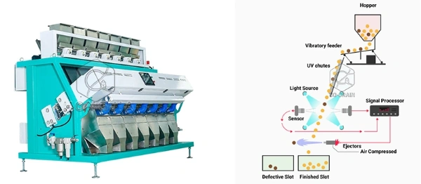 rice_color_sorter_for_sale