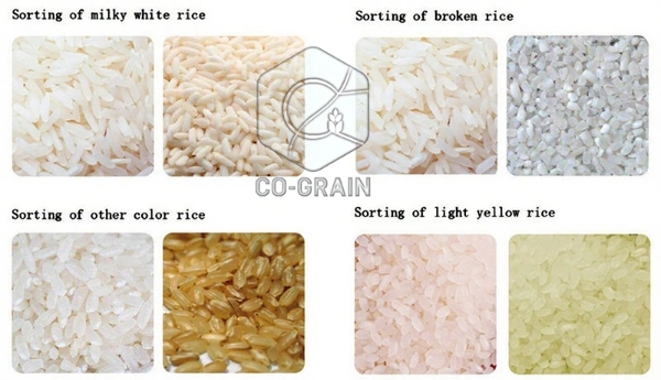 rice_color_sorters_cost