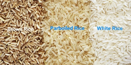 rice_mill_boiler_machine_supplier