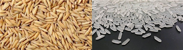 rice_mill_process (2)