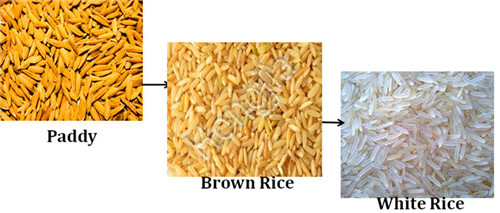 rice_parboiling_machine_for_sale