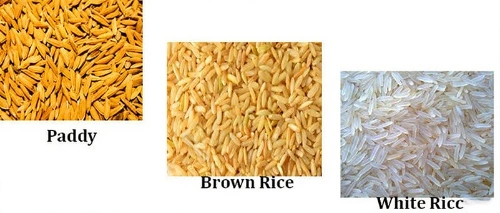 rice_parboiling_machine_for_sale
