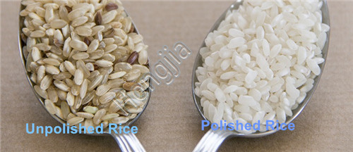 rice_polishing_machine_manufacturer