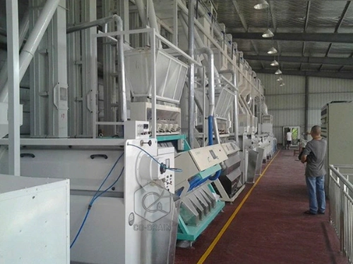 rice_process_business_nigeria