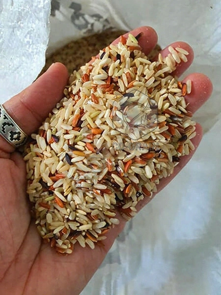 rice_process_machines