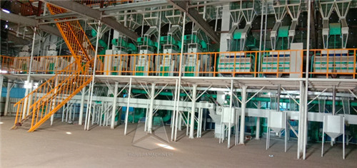 rice_processing_business_nigeria