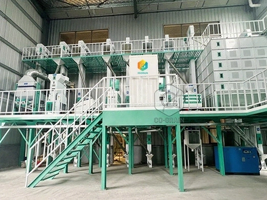 rice mill machine (3)