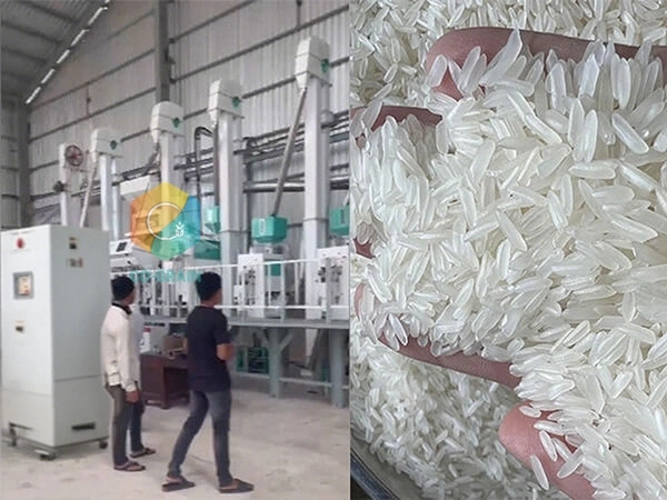 rice_mill_in_cambodia (1)