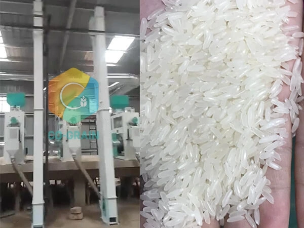 60t_rice_mill_in_kenya (1)