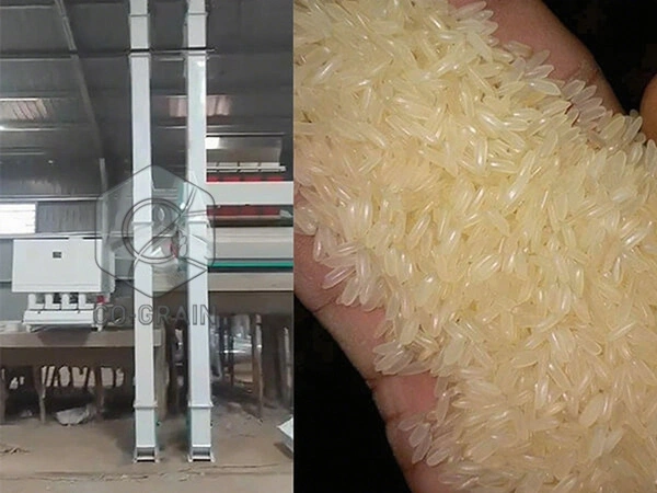 60t_rice_mill_in_kenya (5)
