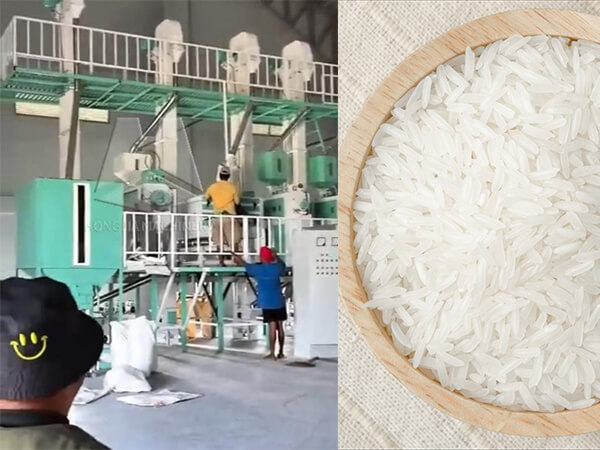 60t_rice_mill_in_philippines (4)