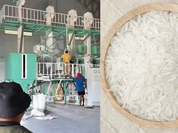 60t_rice_mill_in_philippines (4)