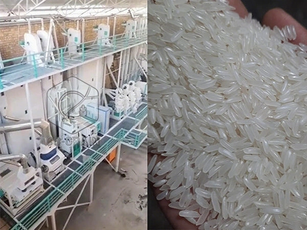 80t_per_day_rice_mill_machine_in_Uzbekistan 2