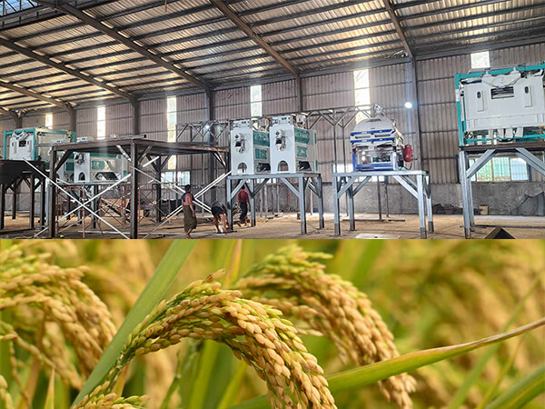 150ton_per_day_Rice_Milling_Line_Successfully_Installed_in_Myanmar 2