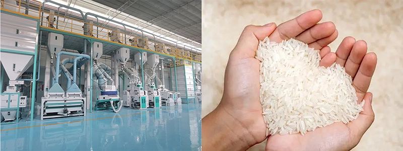 rice_milling_equipment 4