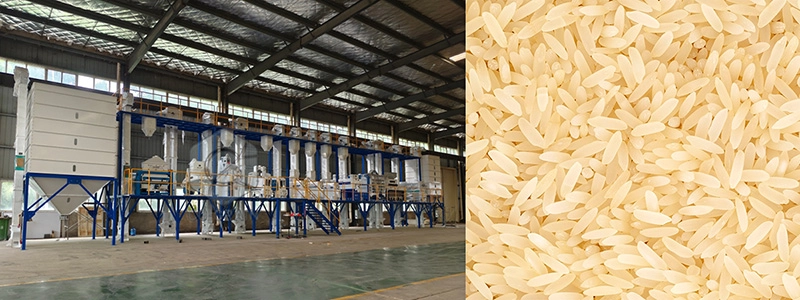 rice_milling_equipment 6