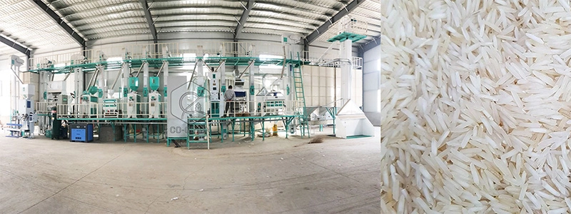 start_rice_mill_plant 6