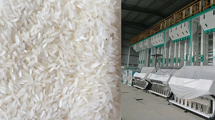 rice_mill_plant 6