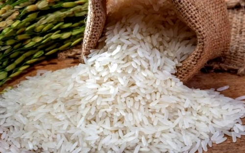 Rice processing plant engineering