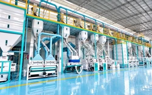 Rice milling process and equipment
